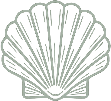 Illustration of a shell 